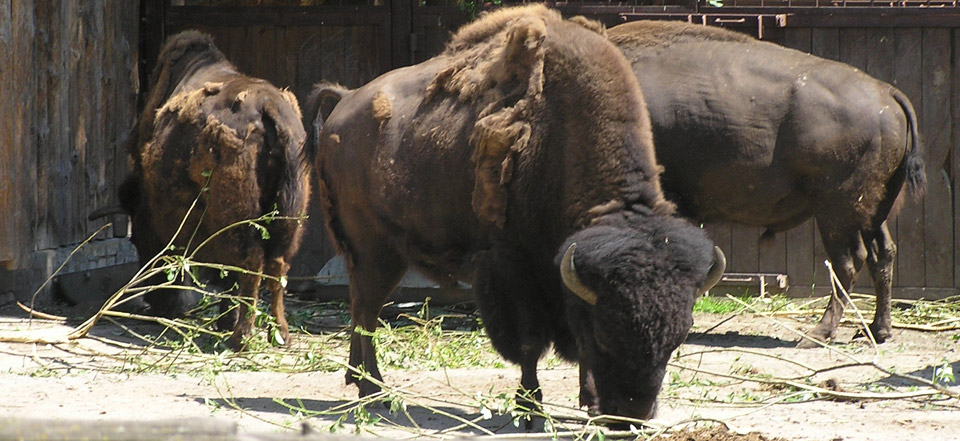 网页在线DDOS压力测试